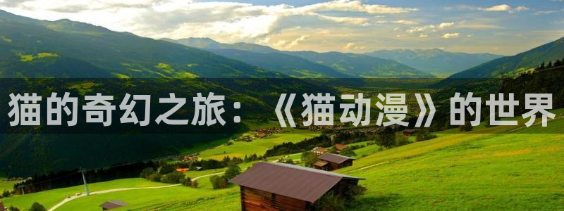 行业资讯