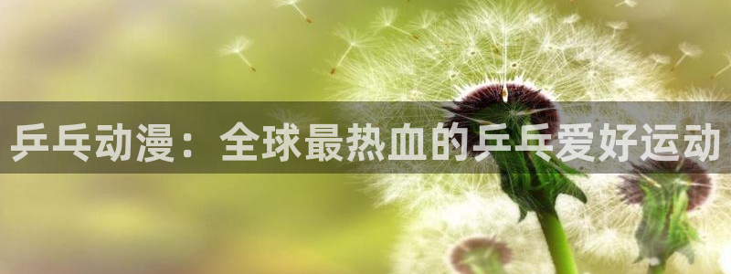 行业资讯